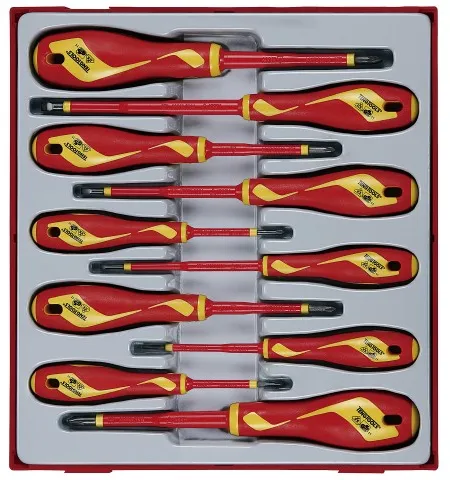 Teng Tools Schraubendreher-Set 1000V TTDV910N mit 10 Teilen